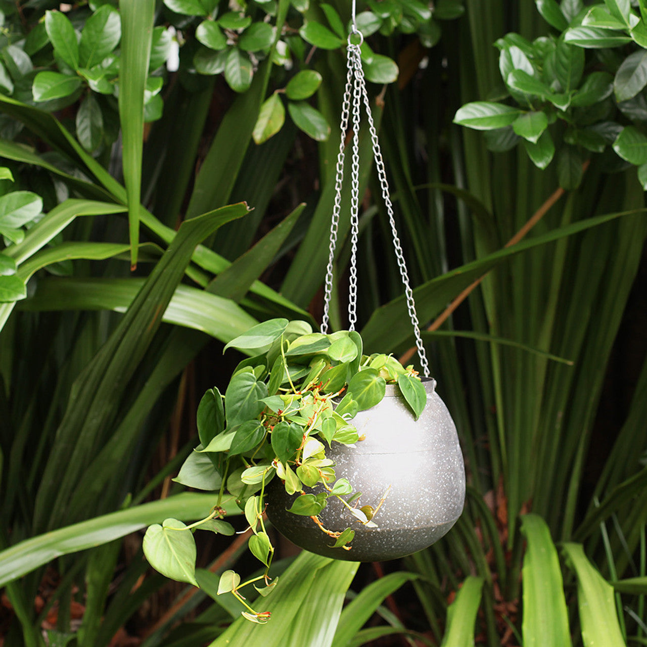 Large Metal Hanging Planter Pot with Chain