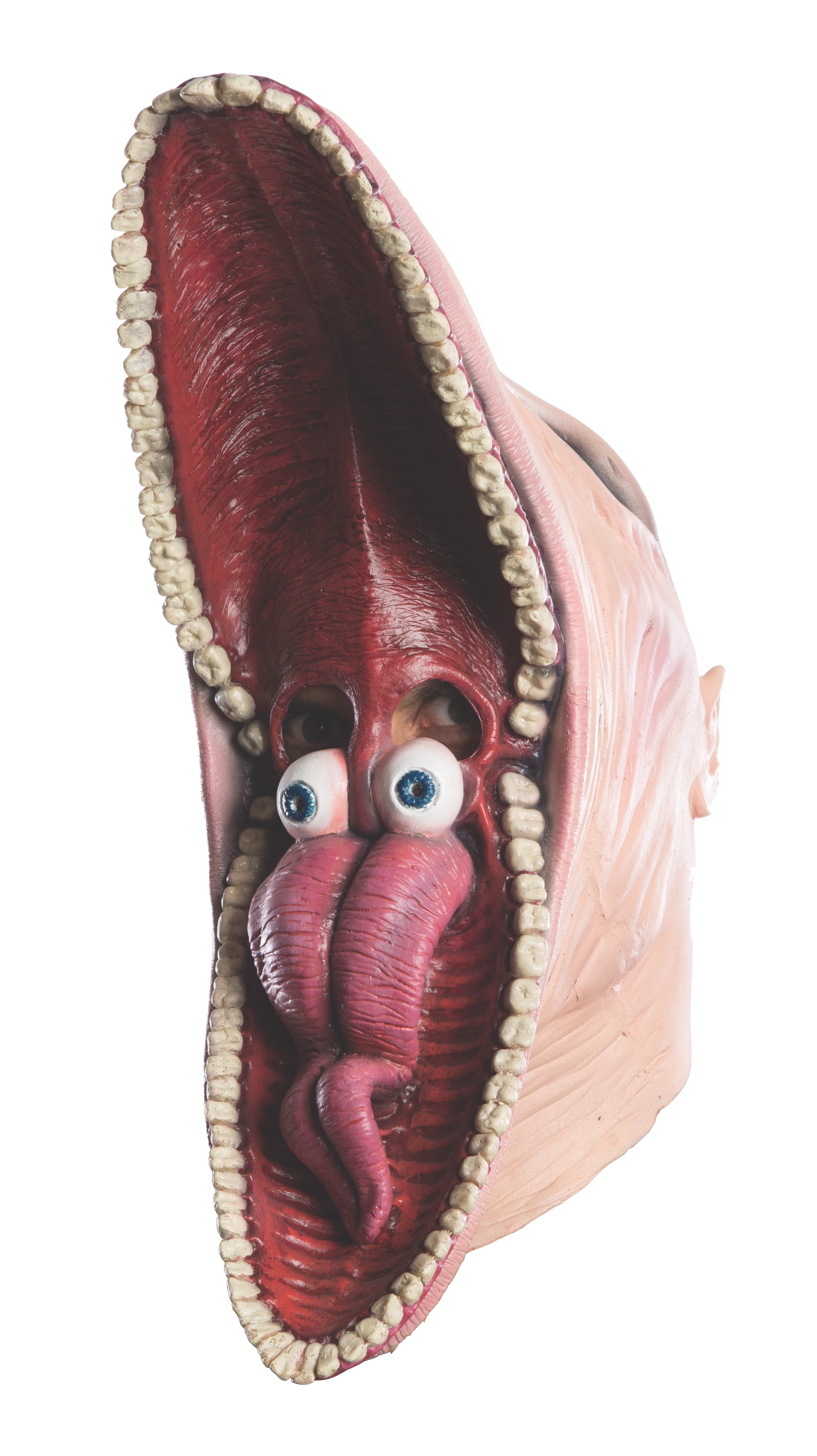 Beetlejuice Movie Barbara Adult Mask Costume Accessory