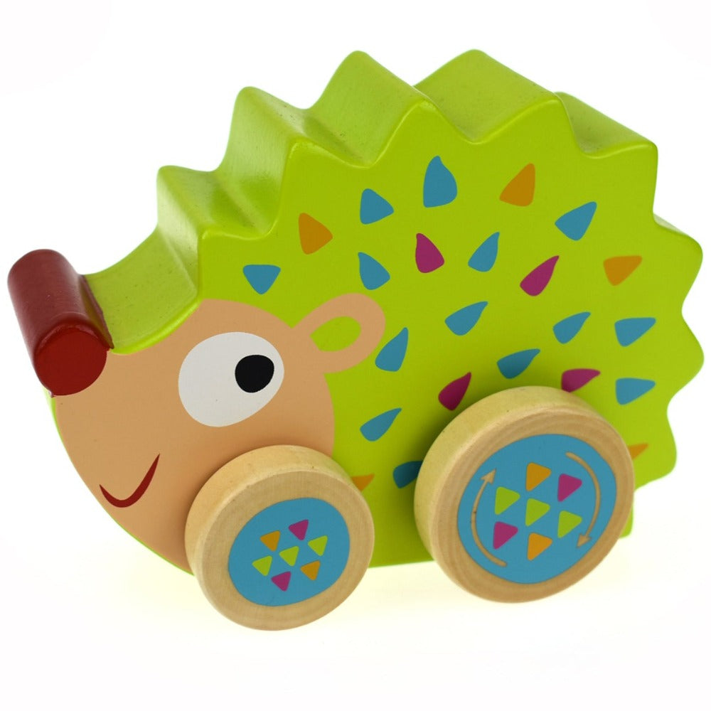 Toddlers Wind N Walk Music Box Toy - Echidna