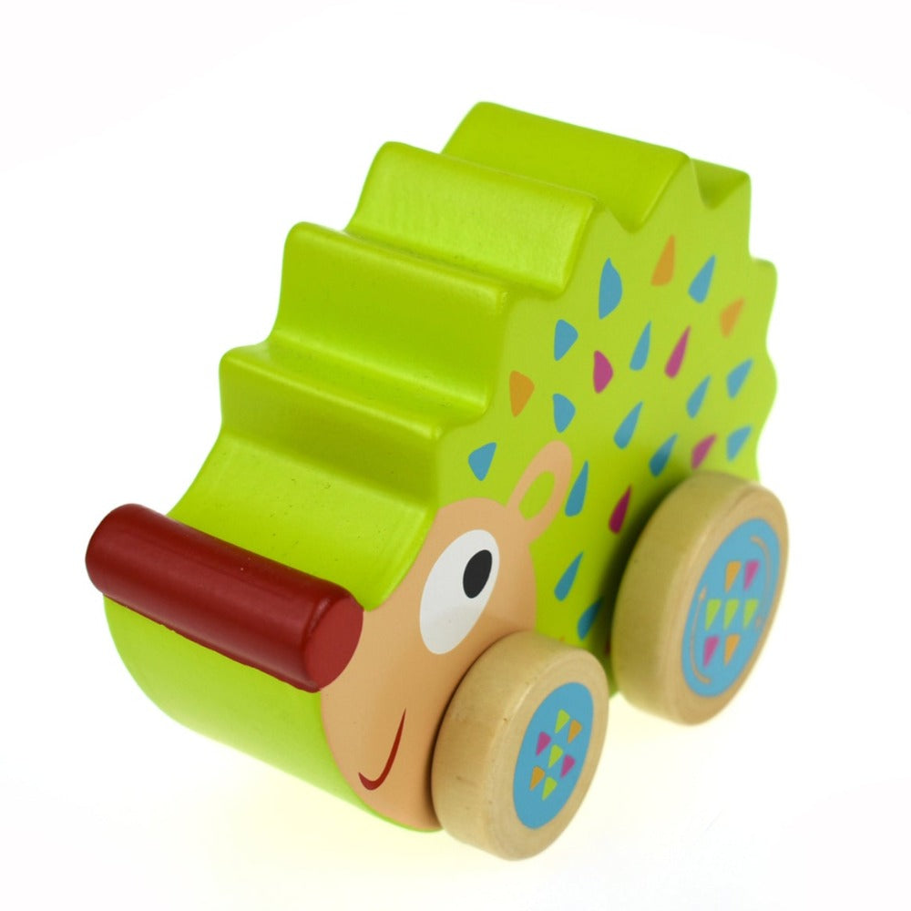 Toddlers Wind N Walk Music Box Toy - Echidna