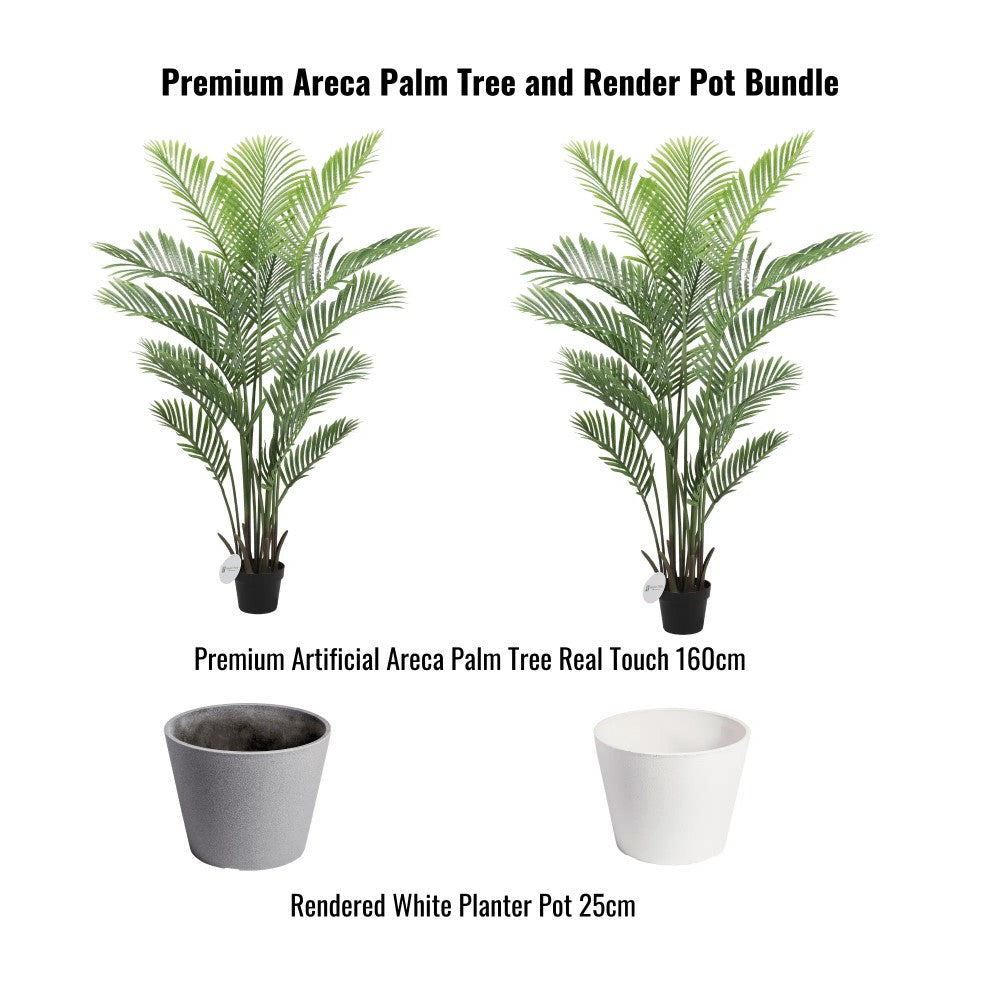 Allure Areca Palm Tree Pot Bundle - Set of 2