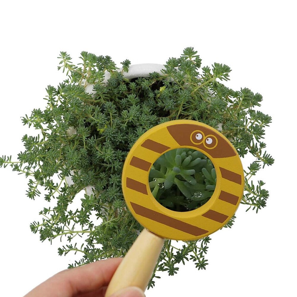 Animals Magnifying Glasses Set of 4