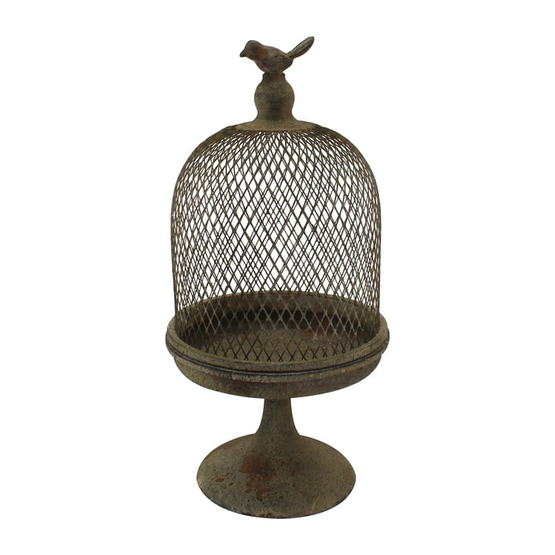 Antique Finish Cloche with Bird 19x19x39cms