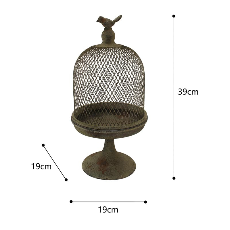 Antique Finish Cloche with Bird 19x19x39cms