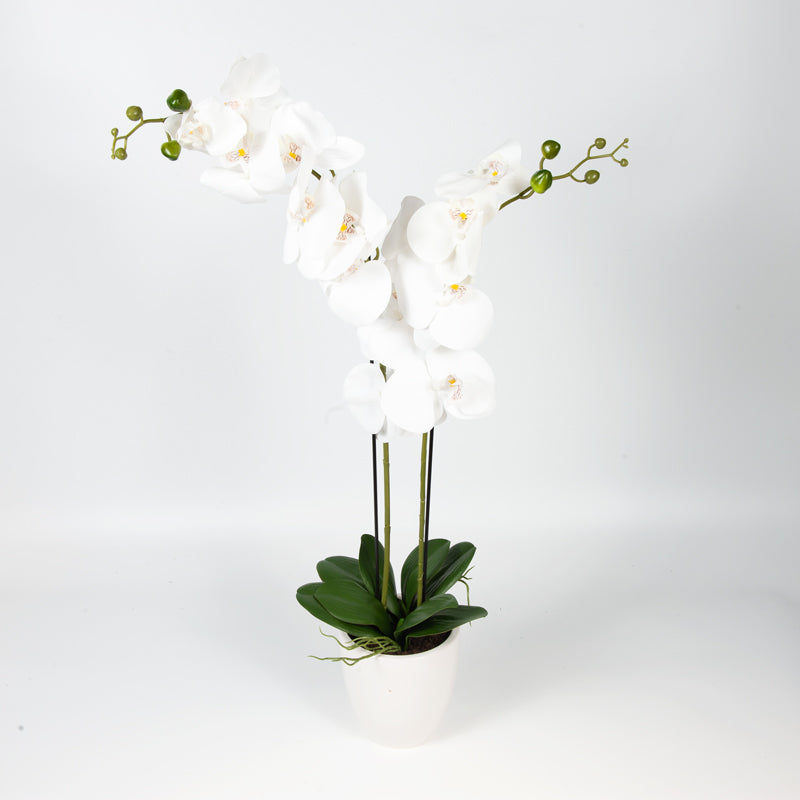 Artificial 14 Butterfly Orchid White Ceramic Pot - 71cms