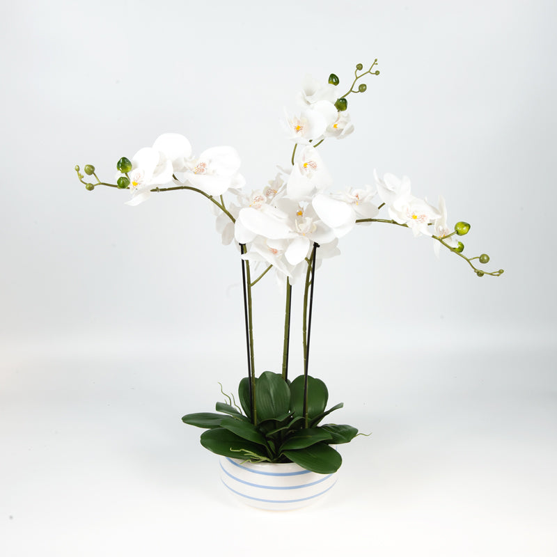 Artificial 21 Butterfly Orchid White Ceramic Pot - 64cms