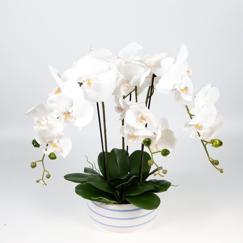 Artificial 21 Butterfly Orchid White Ceramic Pot - 64cms