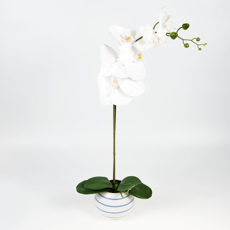 Artificial 7 Butterfly Orchid Hamptons Ceramic Pot - 56cms