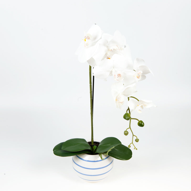 Artificial 7 Butterfly Orchid Hamptons Ceramic Pot - 56cms