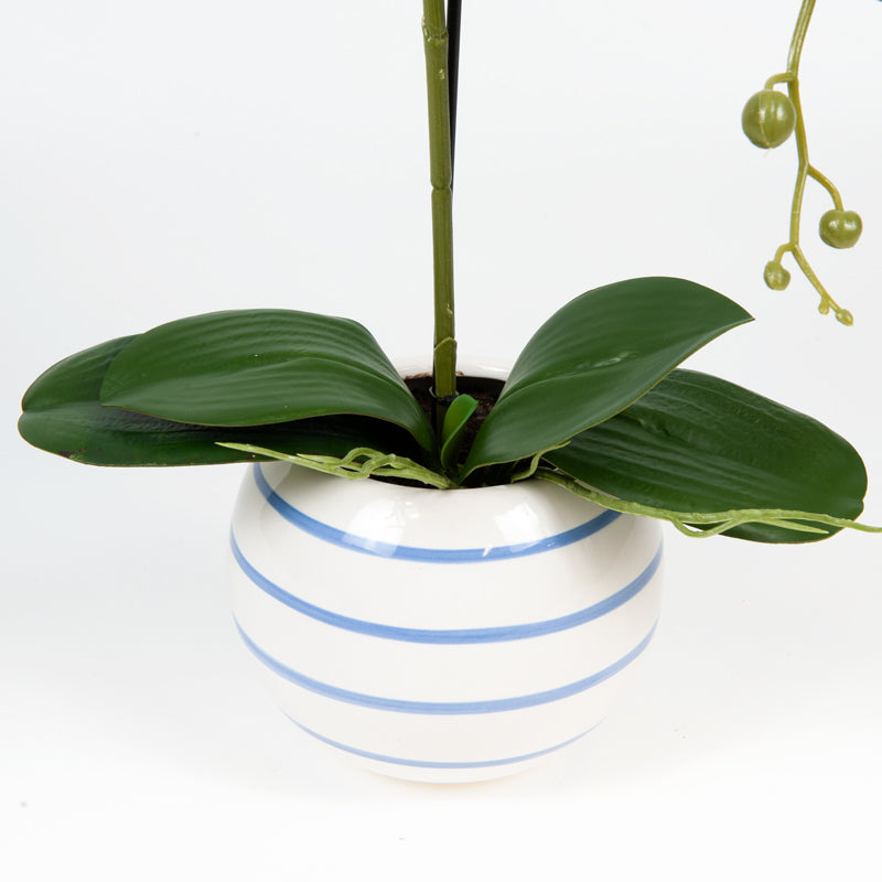 Artificial 7 Butterfly Orchid Hamptons Ceramic Pot - 56cms