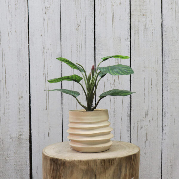 Artificial Arrowroot Plant in Ceramic Pot