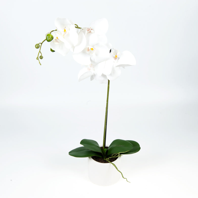 Artificial 7 Butterfly Orchid White Ceramic Pot - 56cms