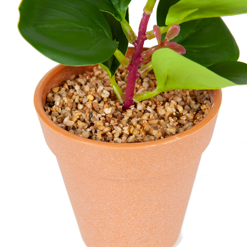 Artificial Baby Rubber Plant Plastic Pot - 22cms