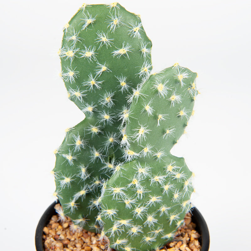 Artificial Cactus Plastic Pot - 23cms