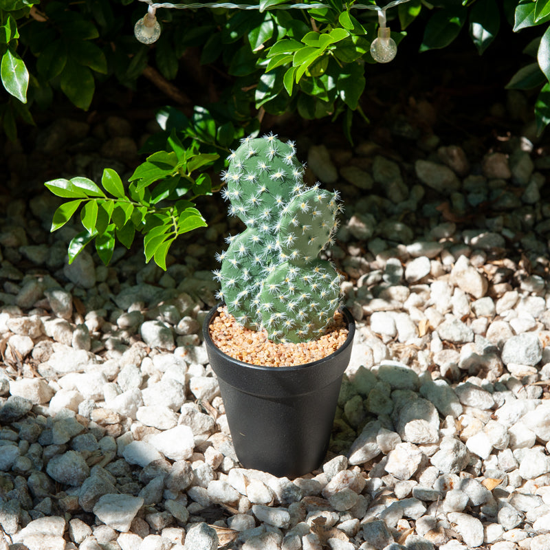 Artificial Cactus Plastic Pot - 23cms