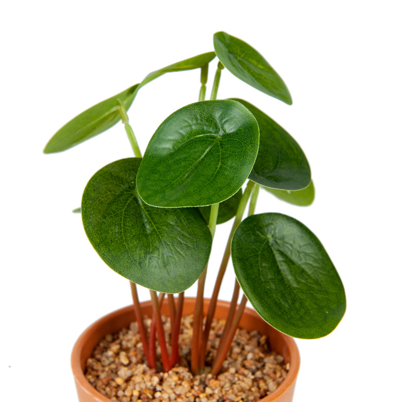 Artificial Chinese Money Plant Plastic Pot - 23cms