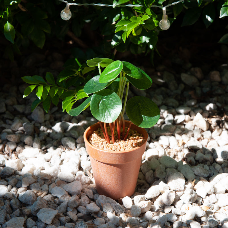 Artificial Chinese Money Plant Plastic Pot - 23cms