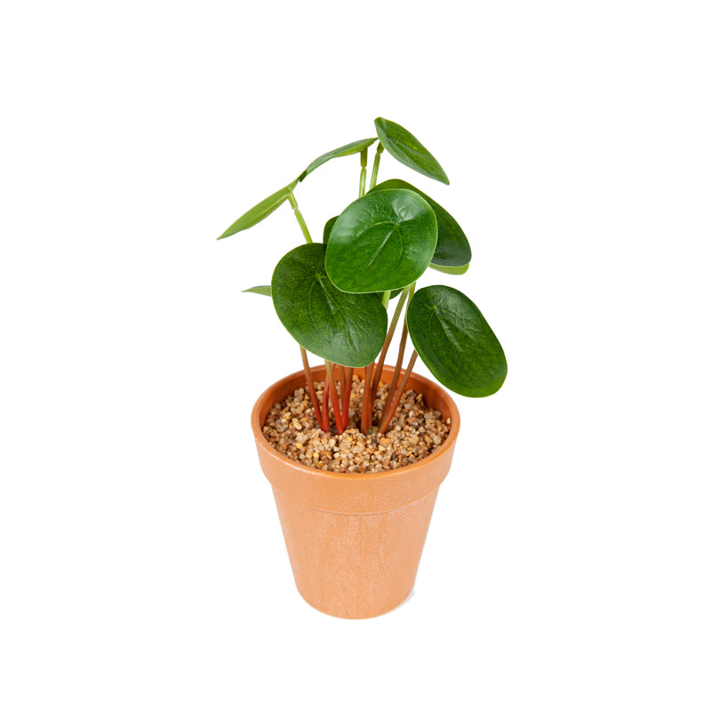 Artificial Chinese Money Plant Plastic Pot - 23cms