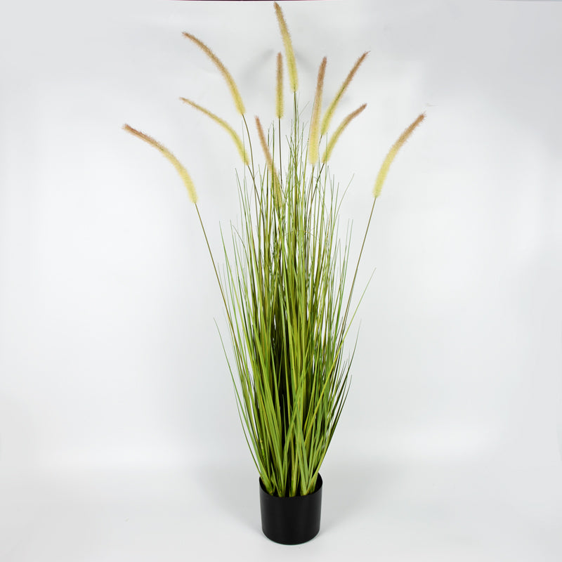 Artificial Dogtail Grass Plastic Pot - 122cms