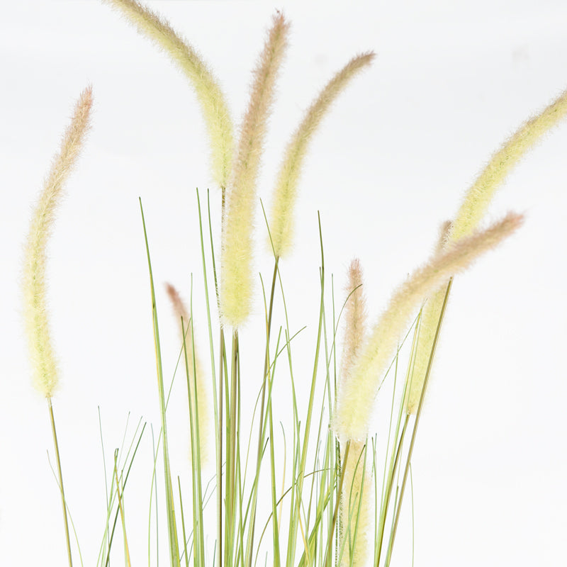 Artificial Dogtail Grass Plastic Pot - 122cms