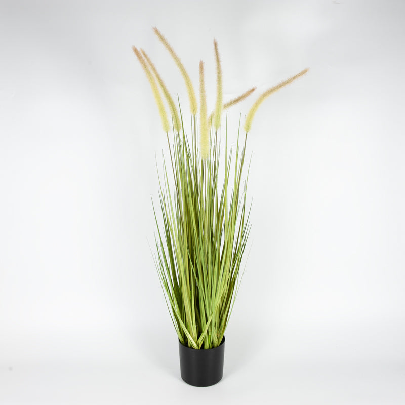 Artificial Dogtail Grass Plastic Pot - 92cms