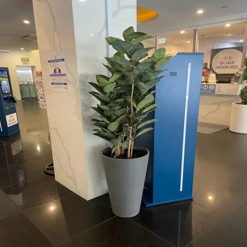 Artificial Ficus Elastica Rubber Plant 180cms