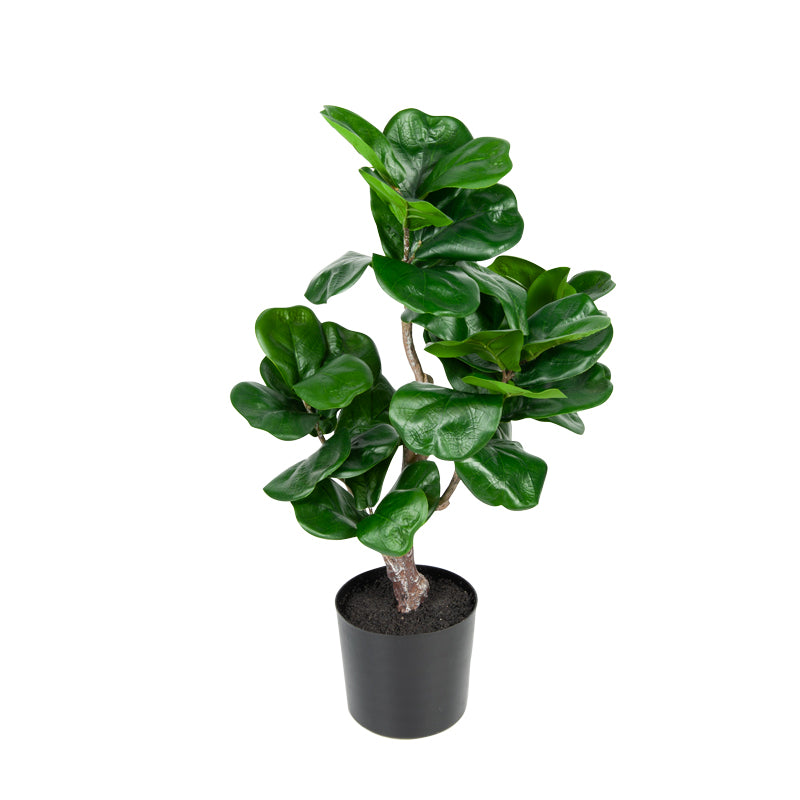 Artificial Ficus Plastic Pot - 54cms