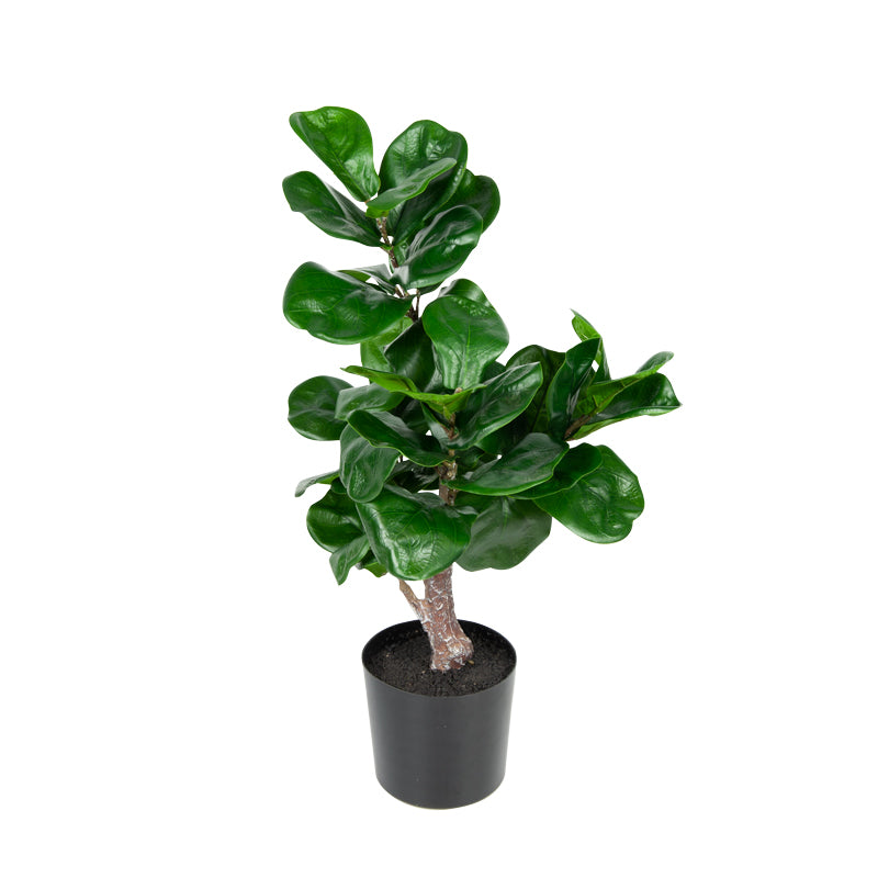 Artificial Ficus Plastic Pot - 54cms