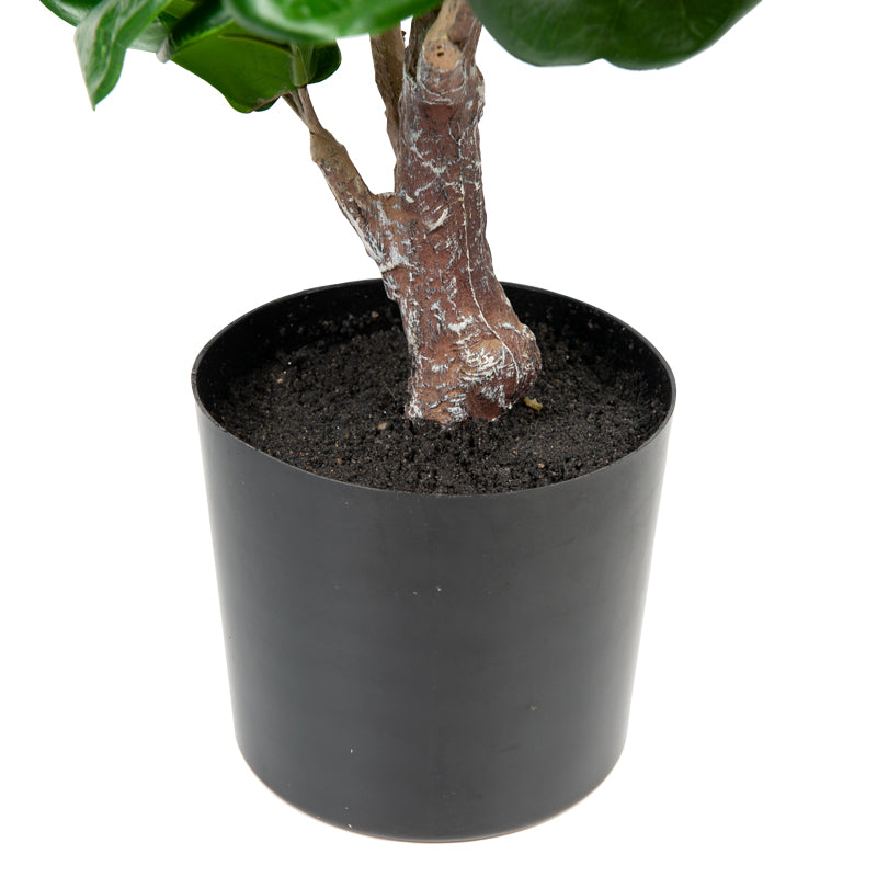 Artificial Ficus Plastic Pot - 54cms