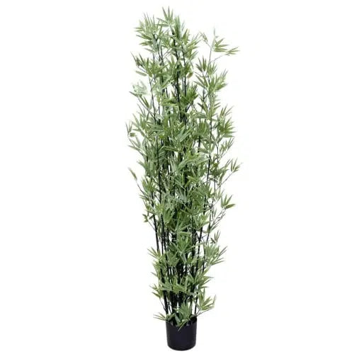 Artificial Japanese Bamboo Black Tree 180cm