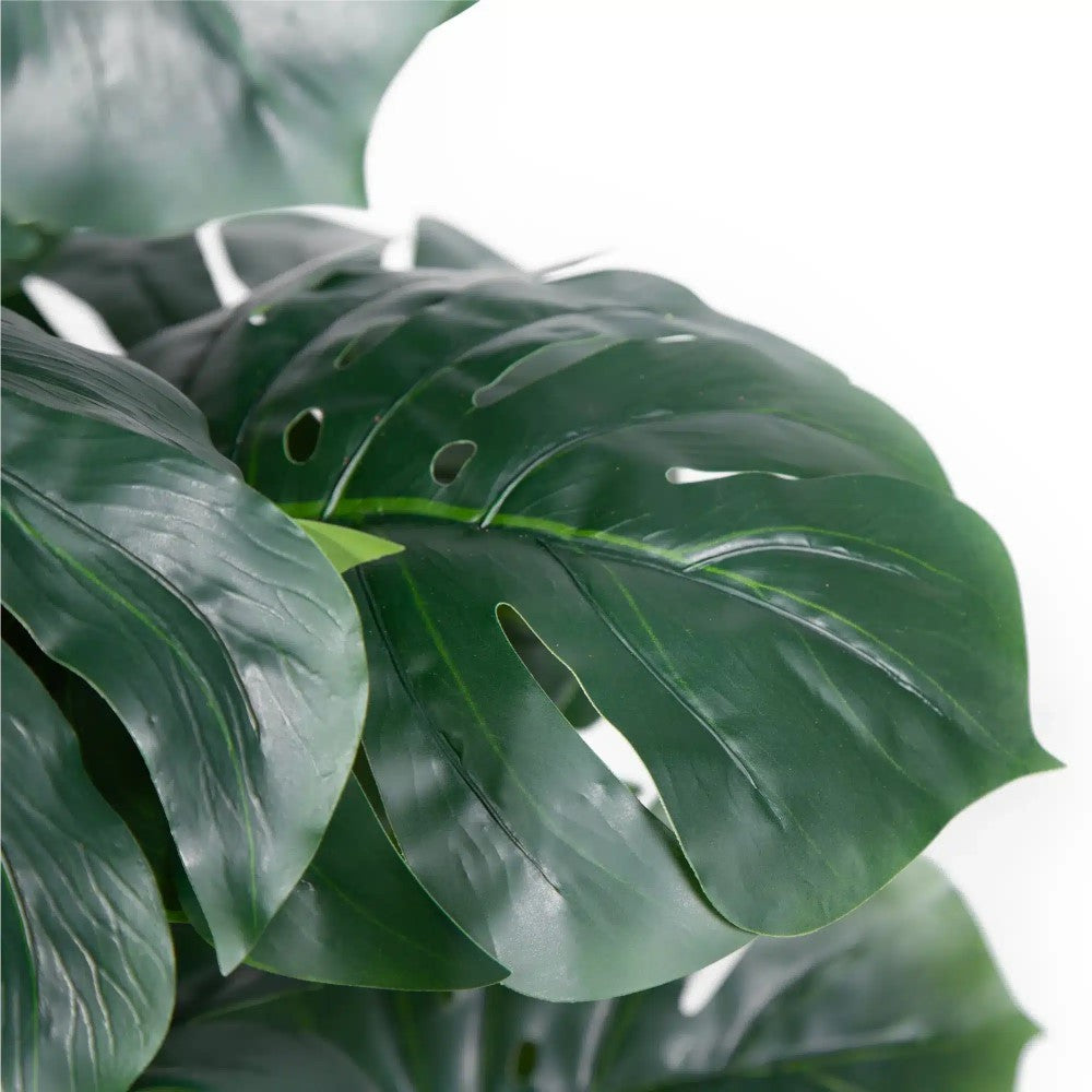 Artificial Monstera Money Plant 180cms