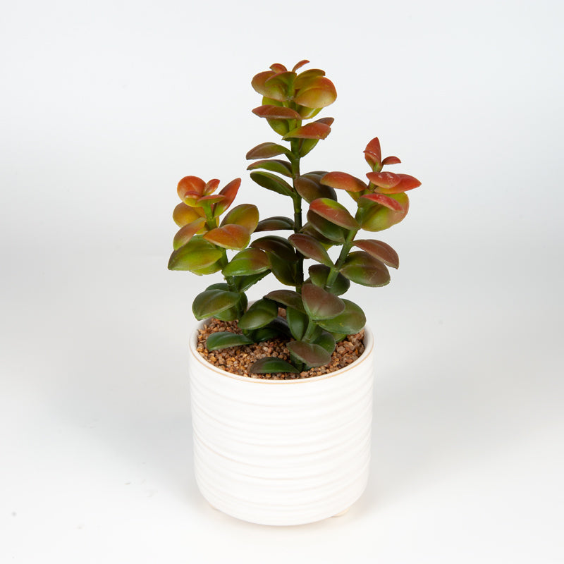 Artificial Natal Plum Ceramic Pot - 25cms