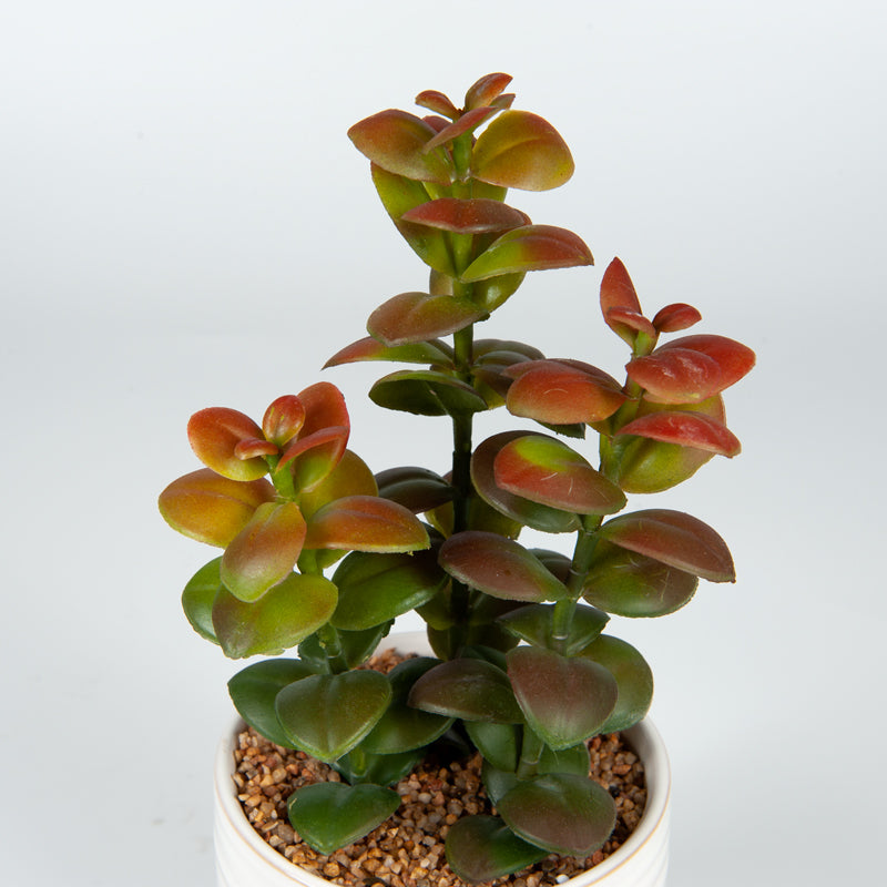 Artificial Natal Plum Ceramic Pot - 25cms