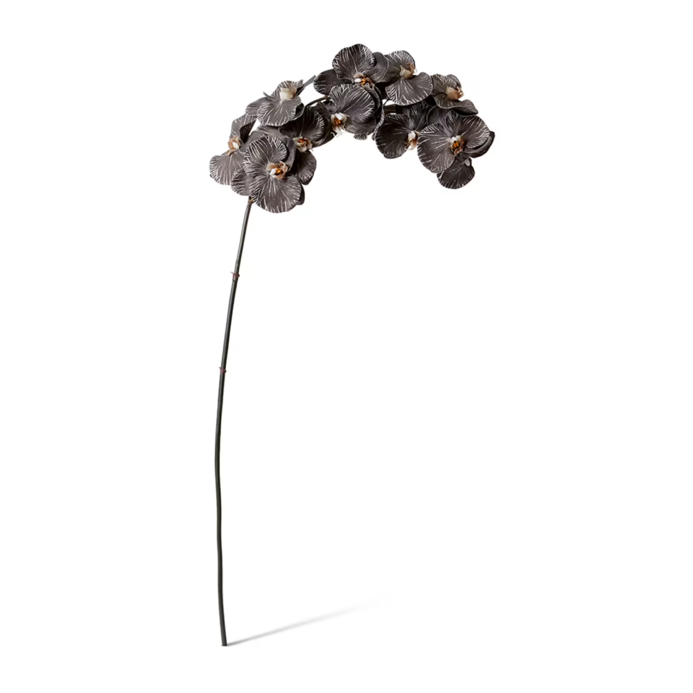 Artificial Phalaenopsis Orchid Decor Stem - Black - 112cms