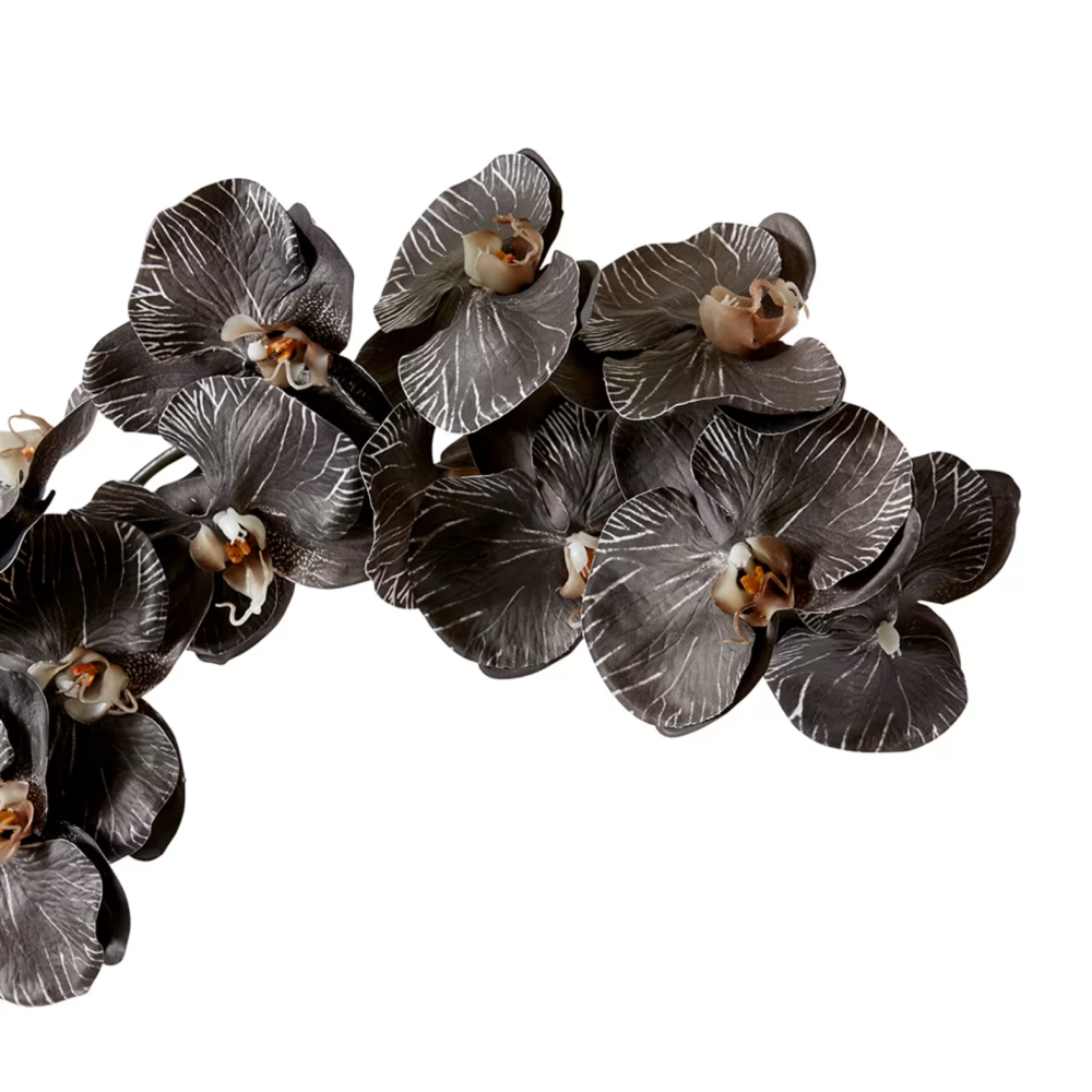 Artificial Phalaenopsis Orchid Decor Stem - Black - 112cms