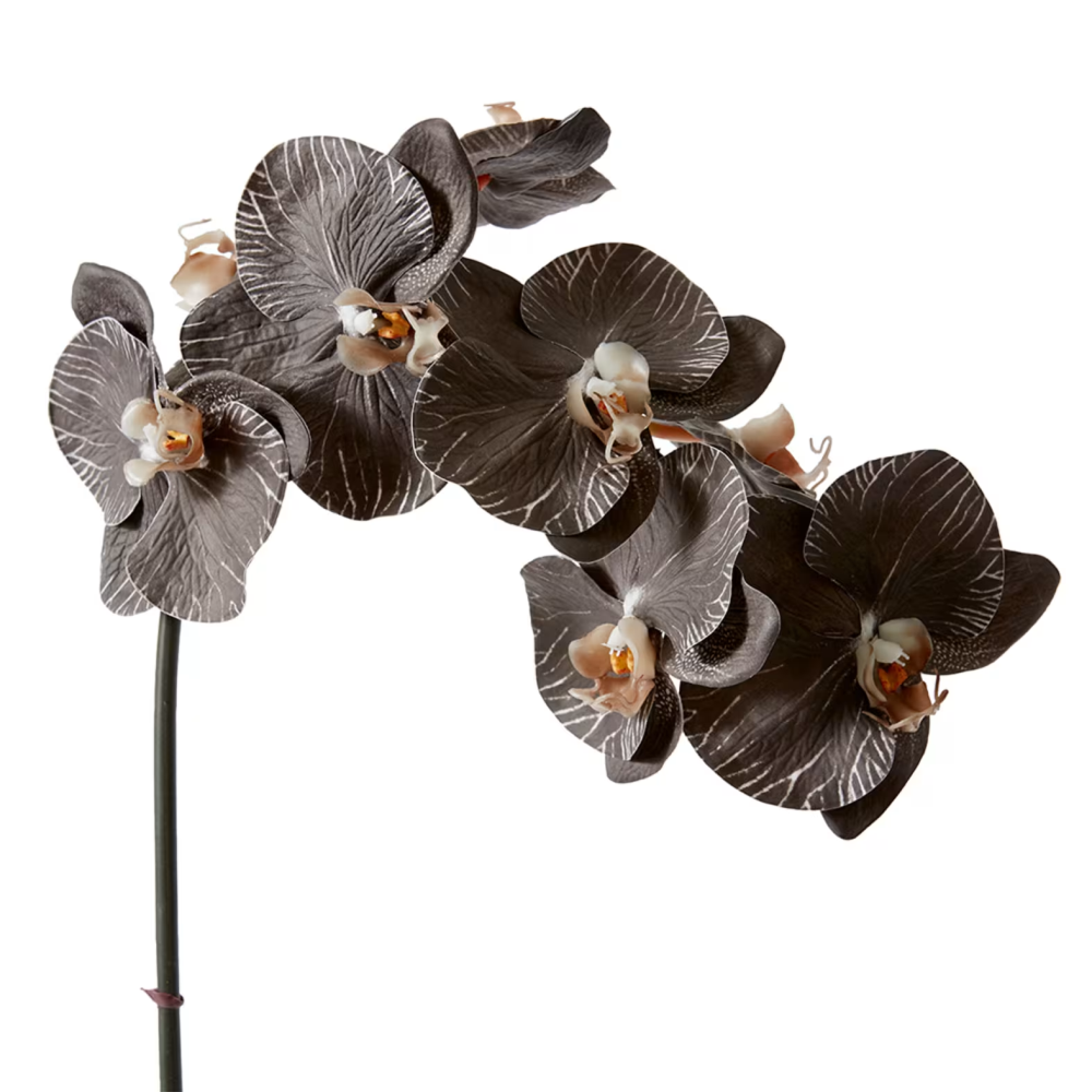 Artificial Phalaenopsis Orchid Decor Stem - Black - 95cms