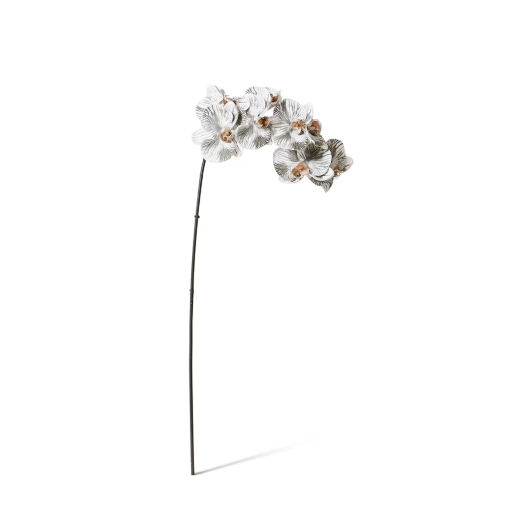 Artificial Phalaenopsis Orchid Decor Stem - Black/White - 95cms