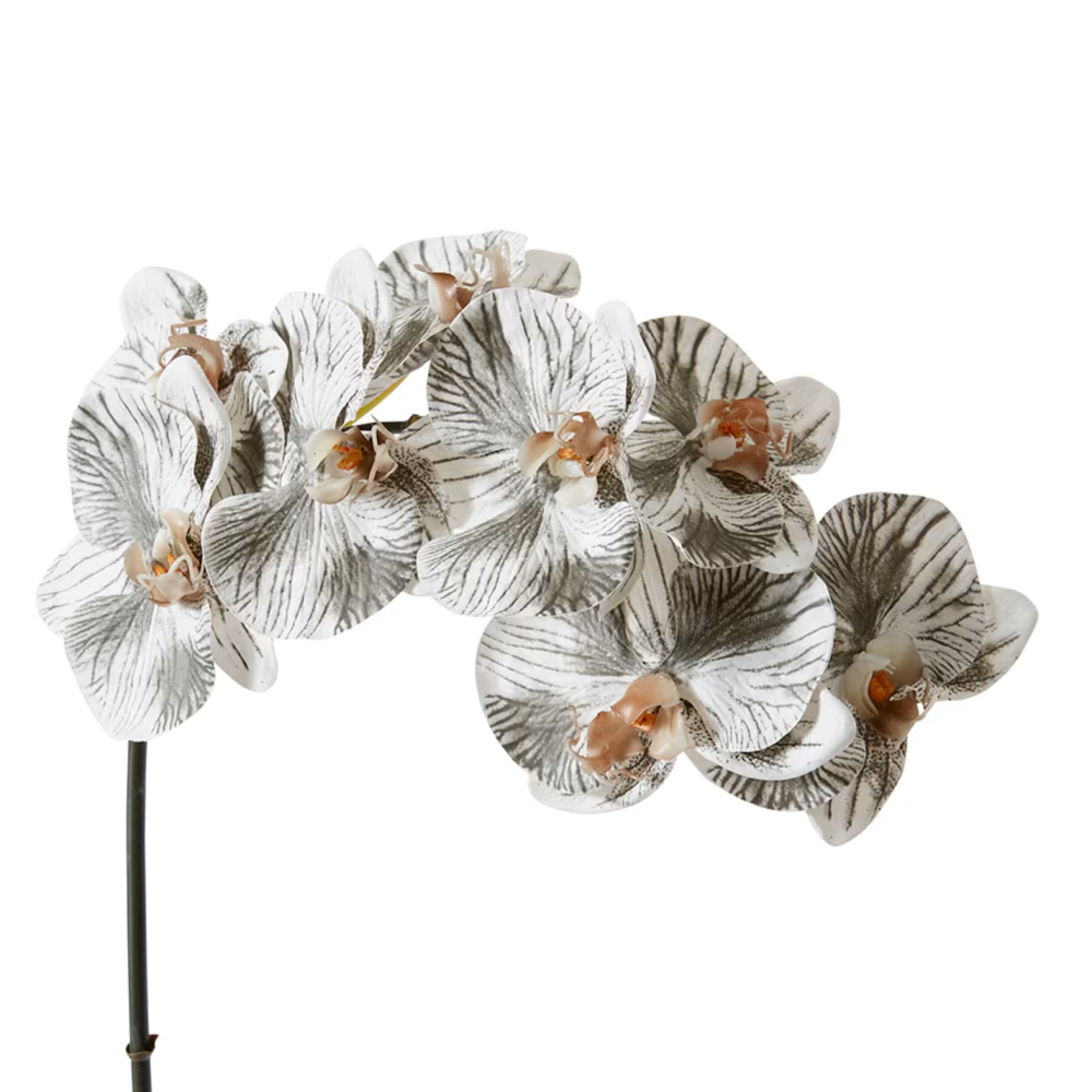 Artificial Phalaenopsis Orchid Decor Stem - Black/White - 95cms