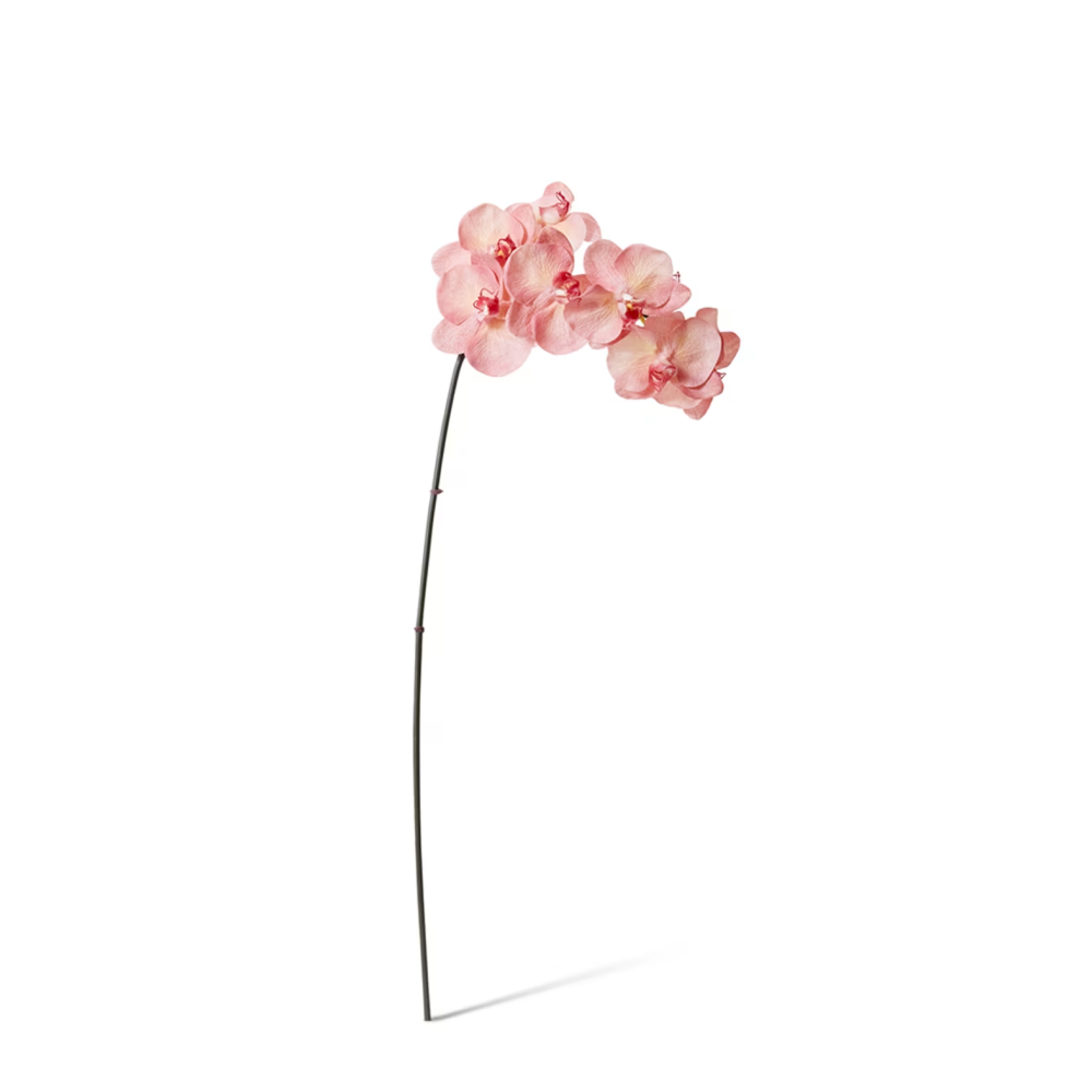 Artificial Phalaenopsis Orchid Decor Stem - Pink - 95cms