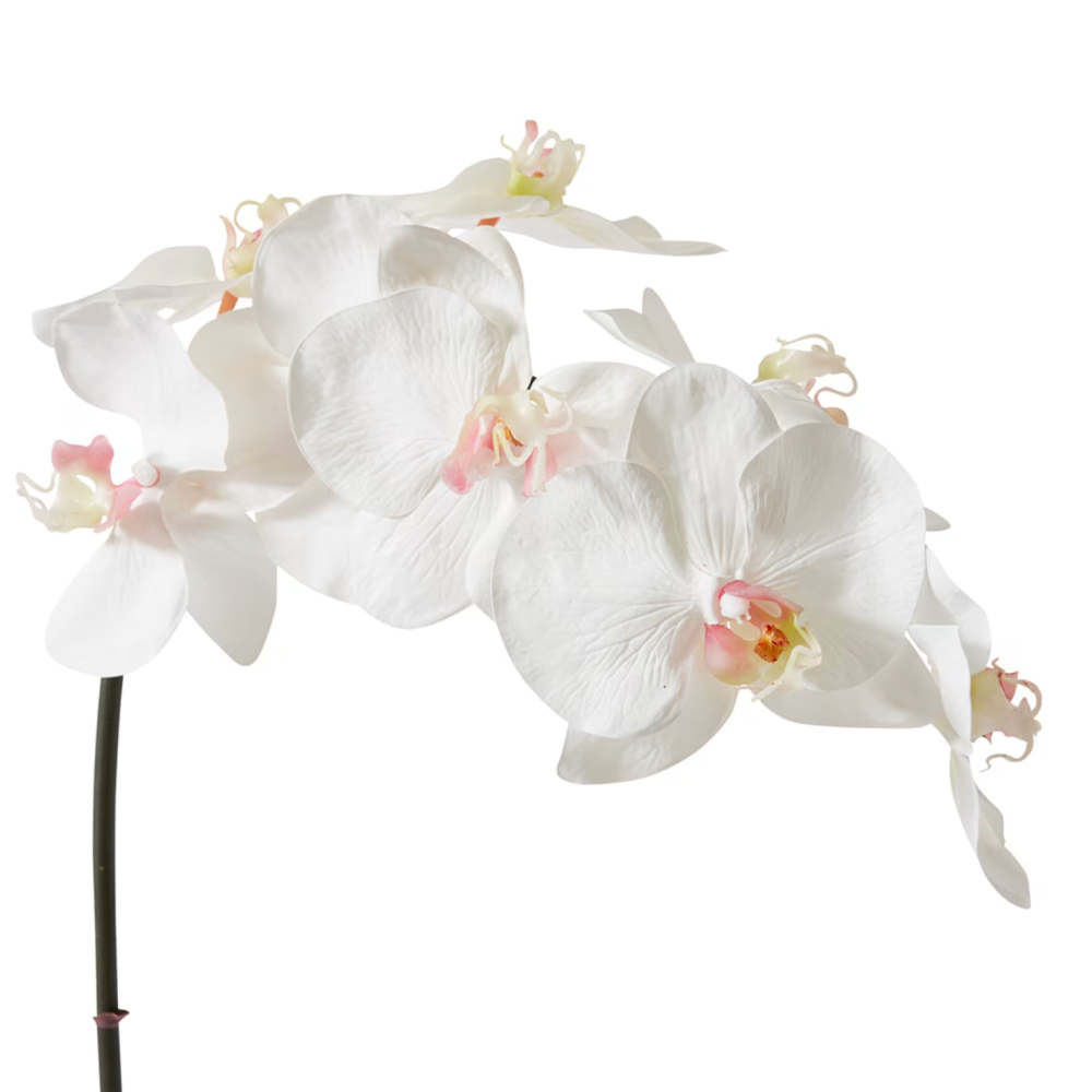 Artificial Phalaenopsis Orchid Decor Stem - Pink/White - 95cms