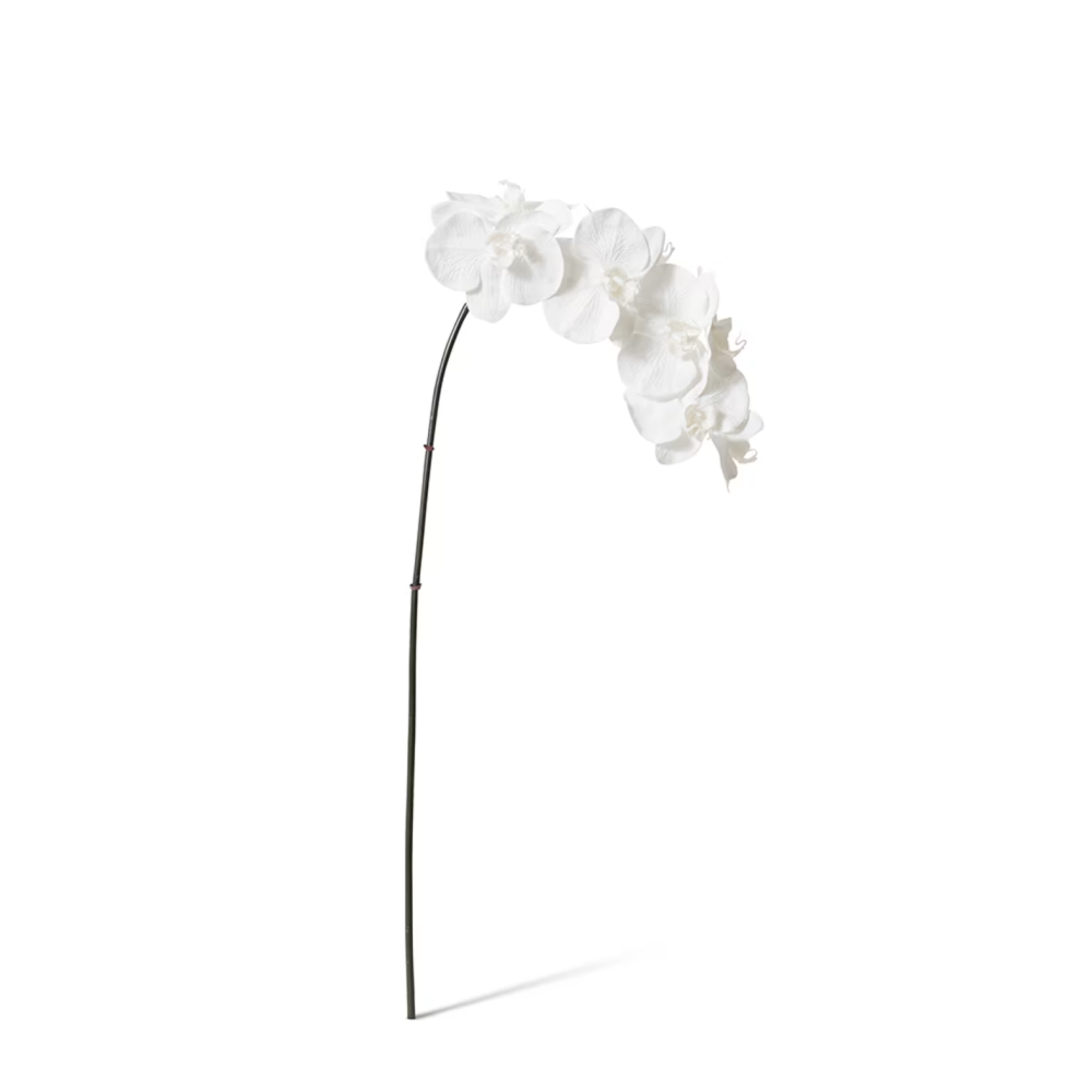 Artificial Phalaenopsis Orchid Decor Stem - White - 95cms