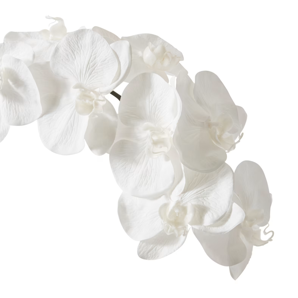 Artificial Phalaenopsis Orchid Decor Stem - White - 95cms