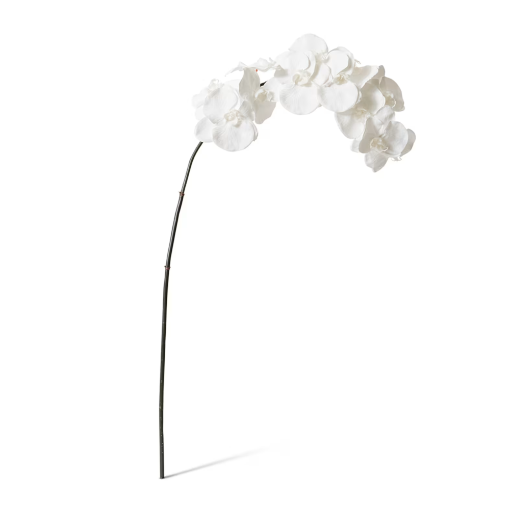 Artificial Phalaenopsis Orchid Decor Stem - White - 112cms