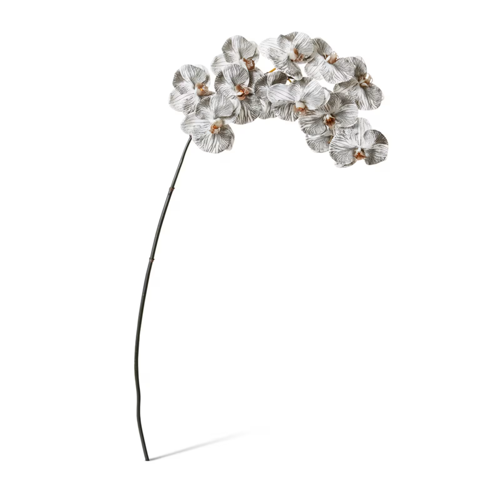 Artificial Phalaenopsis Orchid Decor Stem - Black/White - 112cms