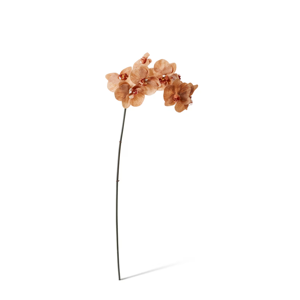 Artificial Phalaenopsis Orchid Decor Stem - Brown - 95cms