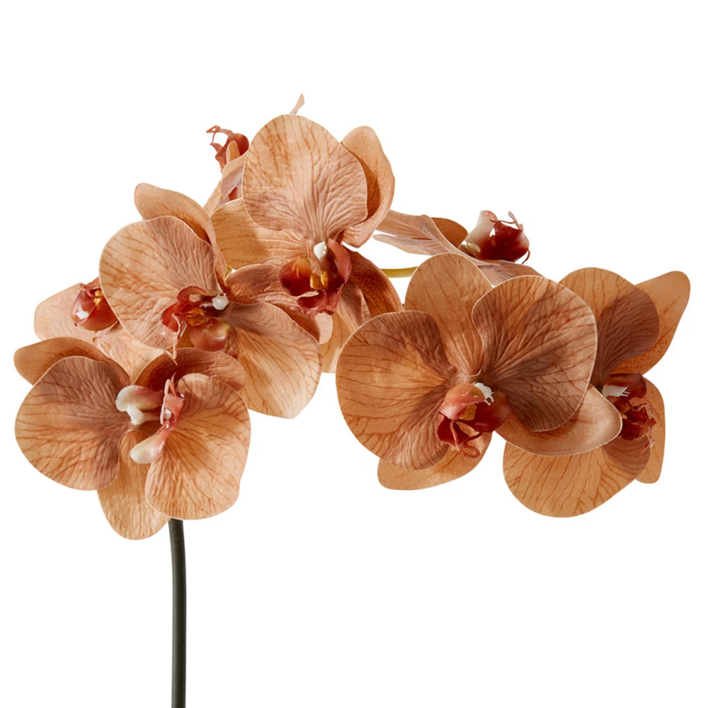 Artificial Phalaenopsis Orchid Decor Stem - Brown - 95cms