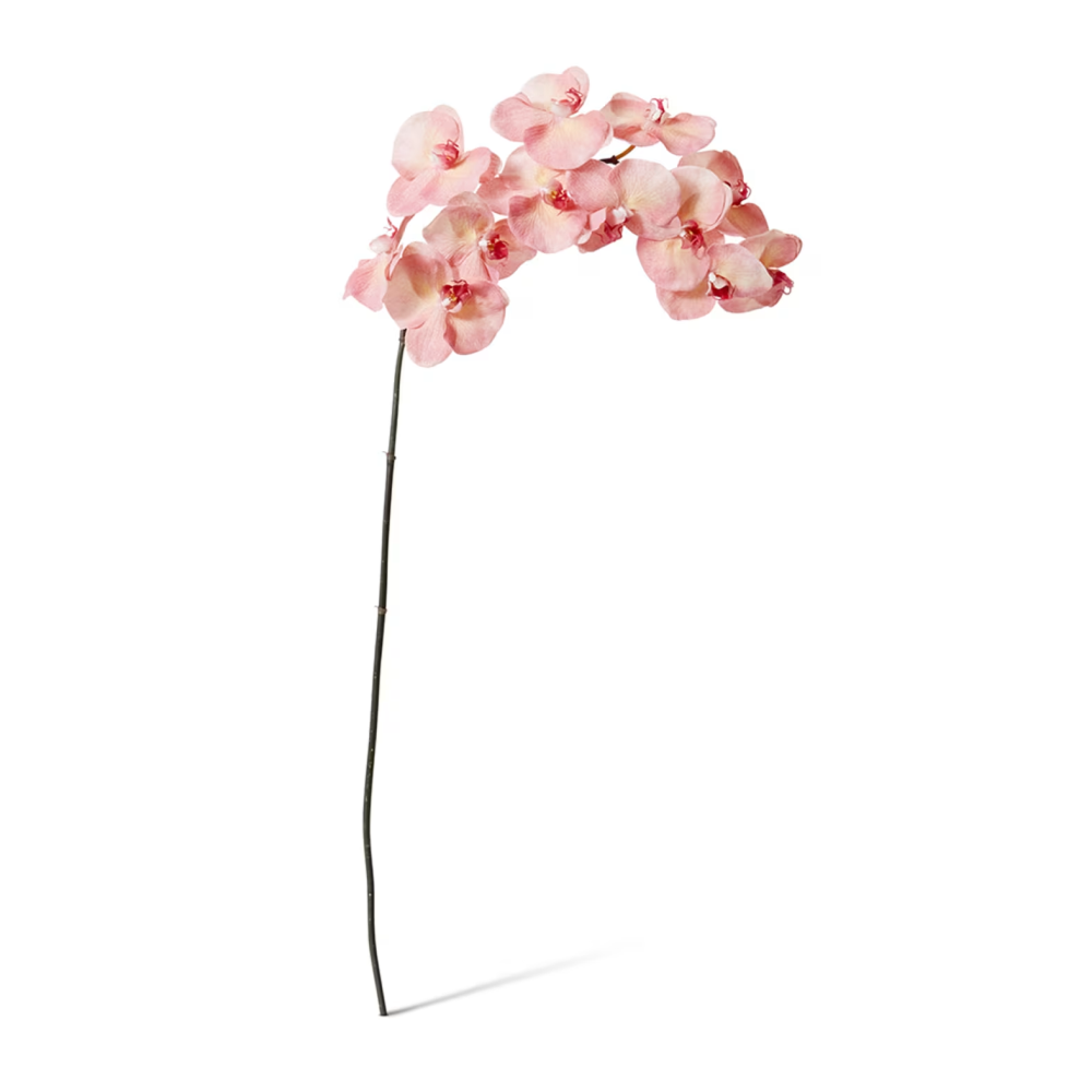 Artificial Phalaenopsis Orchid Decor Stem - Dark Pink - 112cms