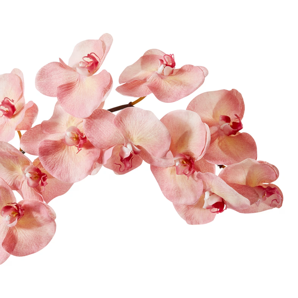 Artificial Phalaenopsis Orchid Decor Stem - Dark Pink - 112cms