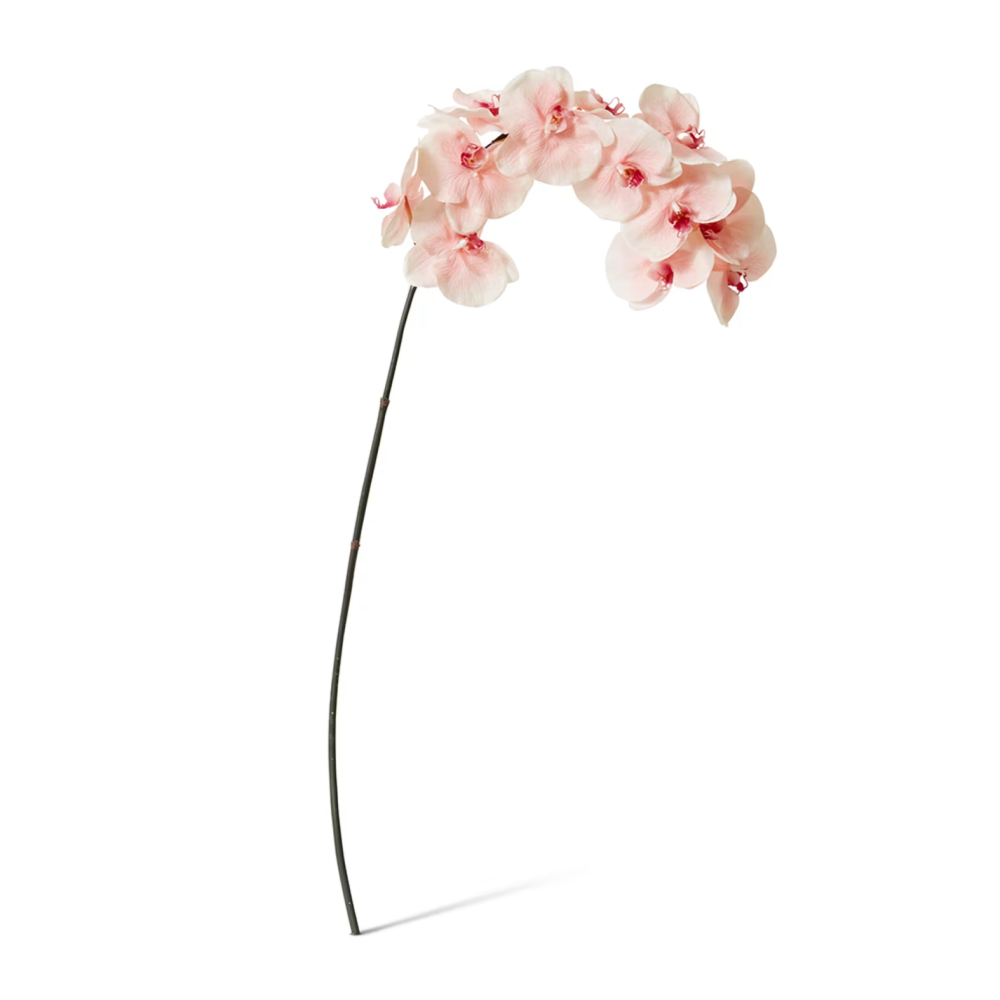 Artificial Phalaenopsis Orchid Decor Stem - Pink - 112cms