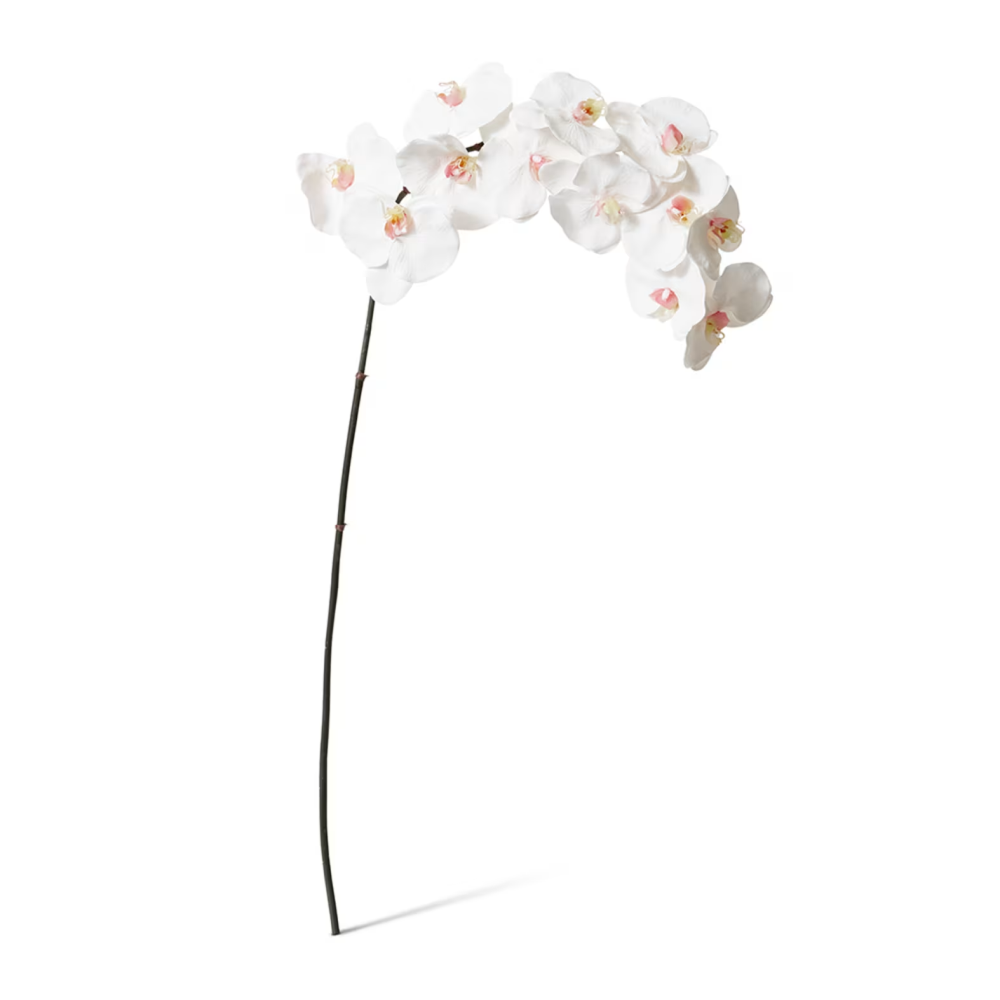 Artificial Phalaenopsis Orchid Decor Stem - Pink/White - 112cms